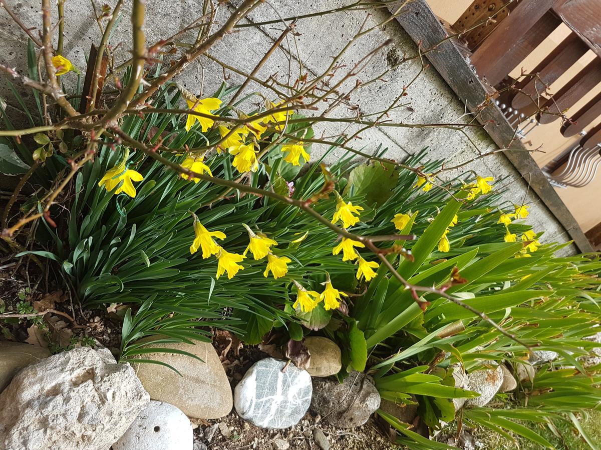 Le Chalet del Pollino Rotonda Esterno foto