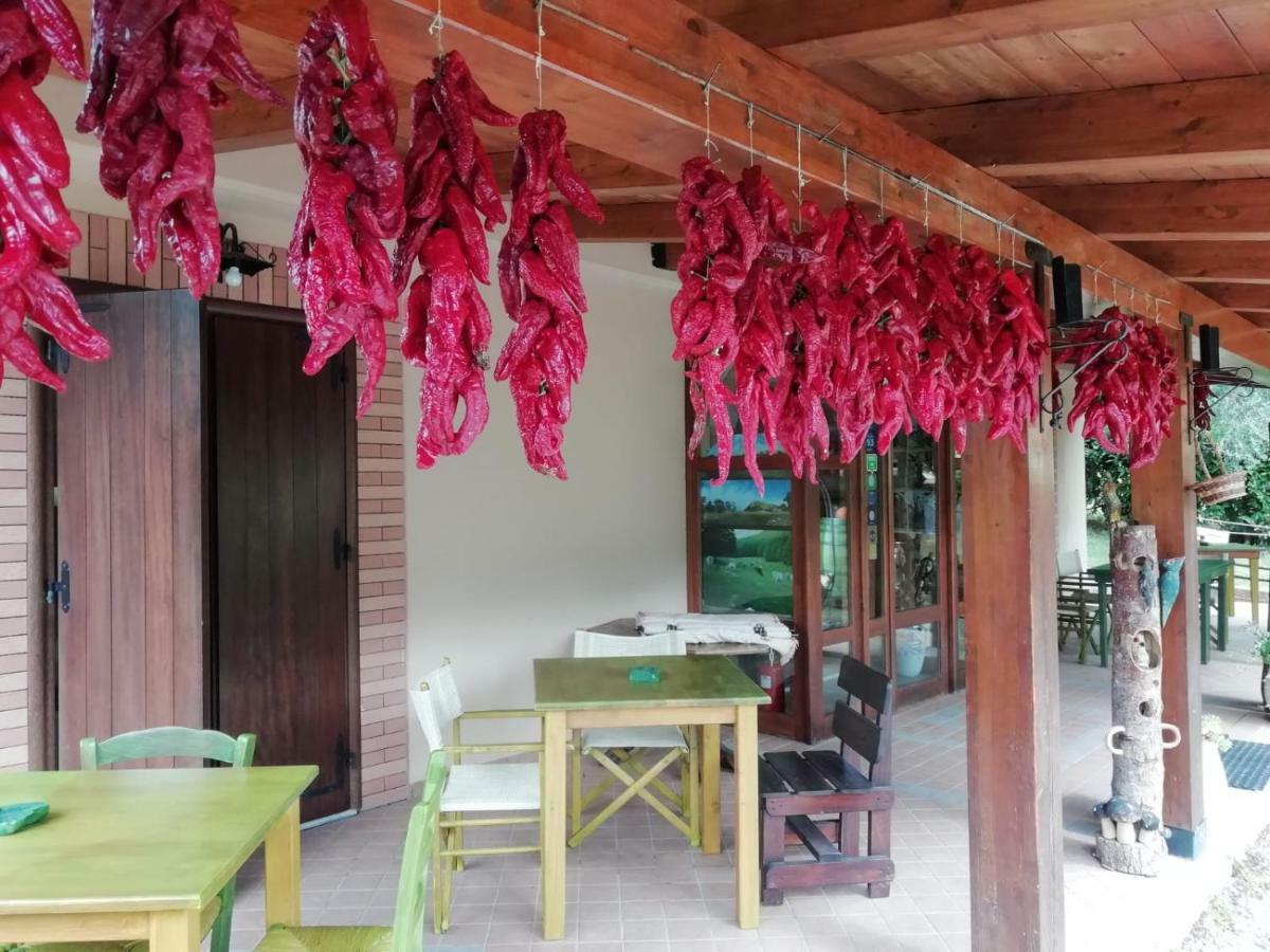 Le Chalet del Pollino Rotonda Esterno foto